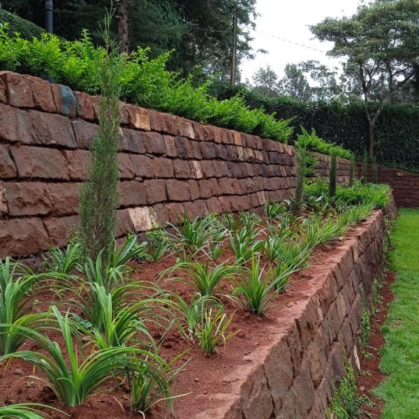 1000194838 1000194838