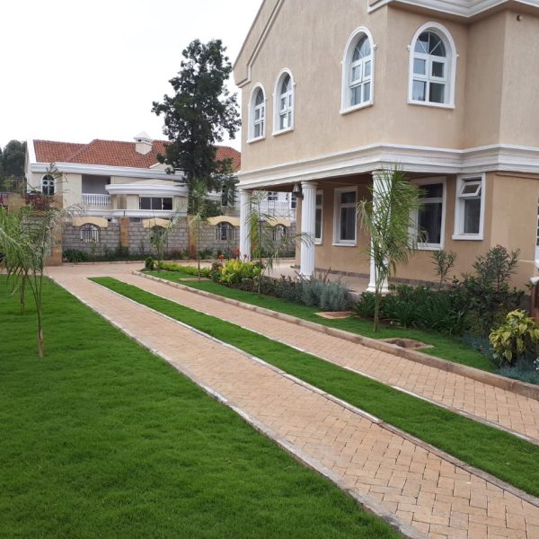 1000195344 1000195344