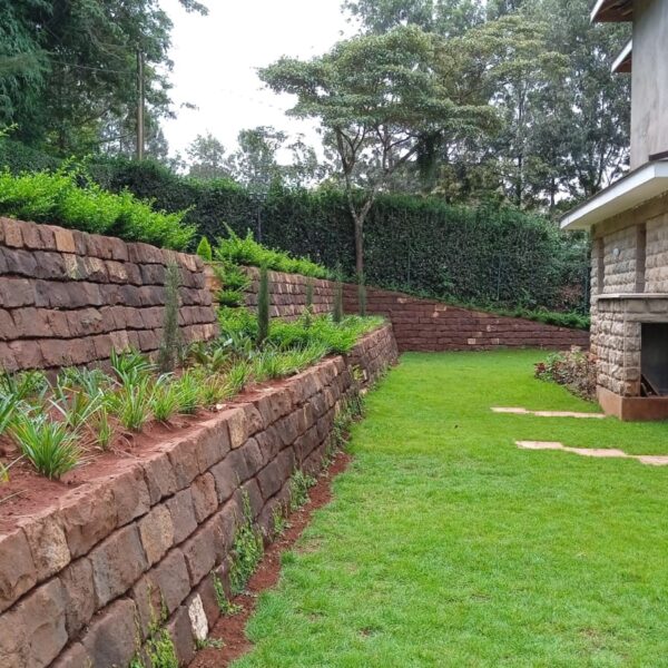 1000196061 1000196061